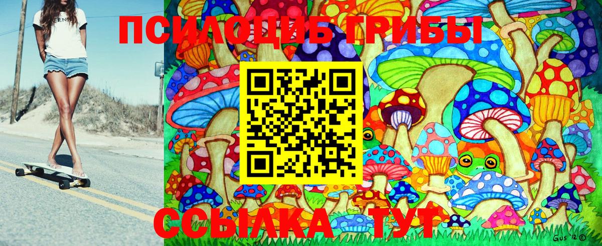 Пенза  Галлюциногенные грибы Psilocybe  Вход с VPN  Псилоцибиновые грибы Psilocybe 